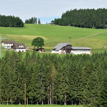 Duerrenbartleshof Apartment Breitnau Exterior photo
