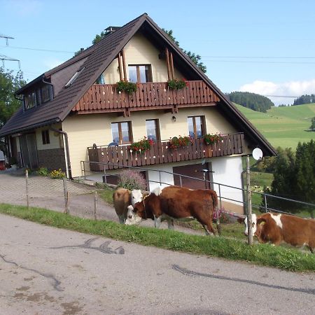 Duerrenbartleshof Apartment Breitnau Exterior photo