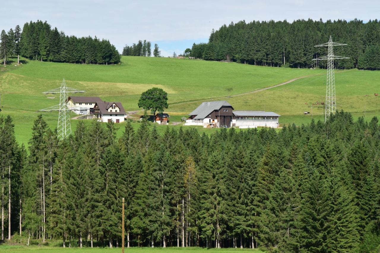 Duerrenbartleshof Apartment Breitnau Exterior photo